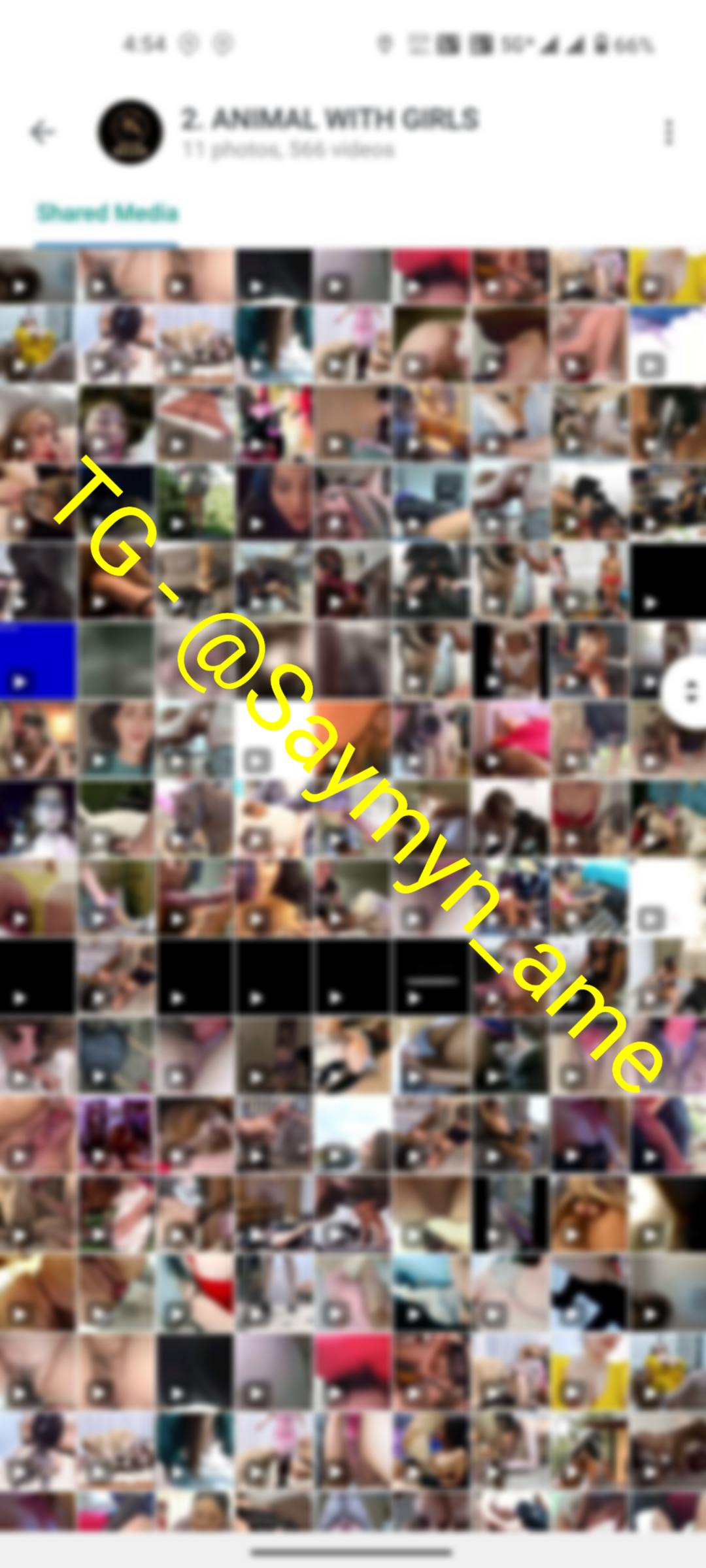 RP VIDEOS